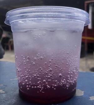 Fruity Soda (Blueberry)